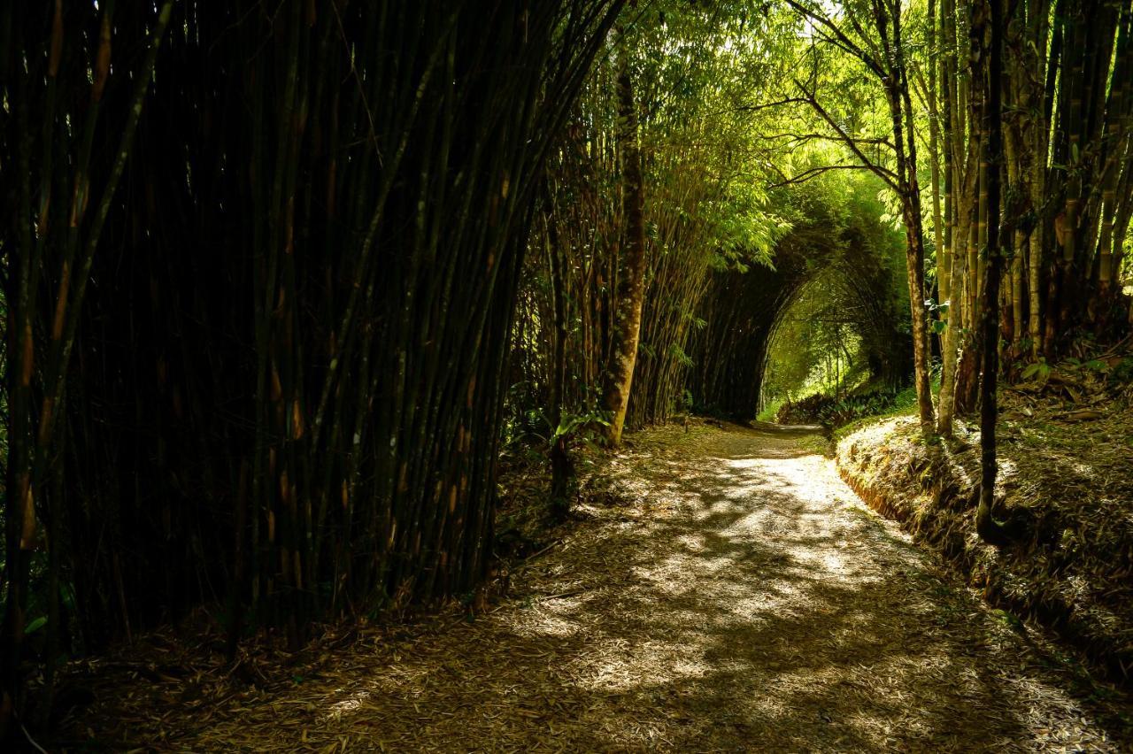Talamanca Nature Reserve Rivas Dış mekan fotoğraf