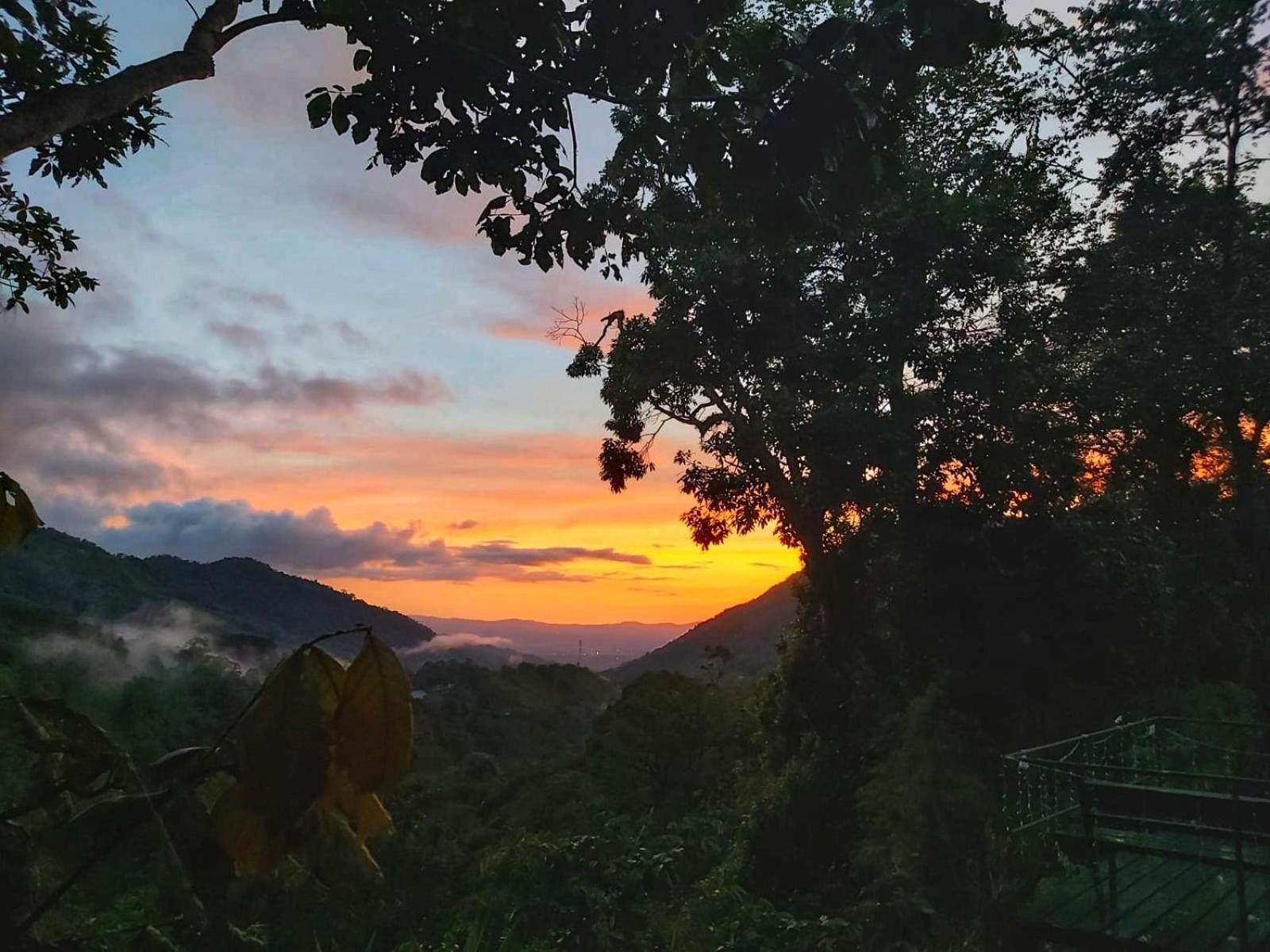 Talamanca Nature Reserve Rivas Dış mekan fotoğraf