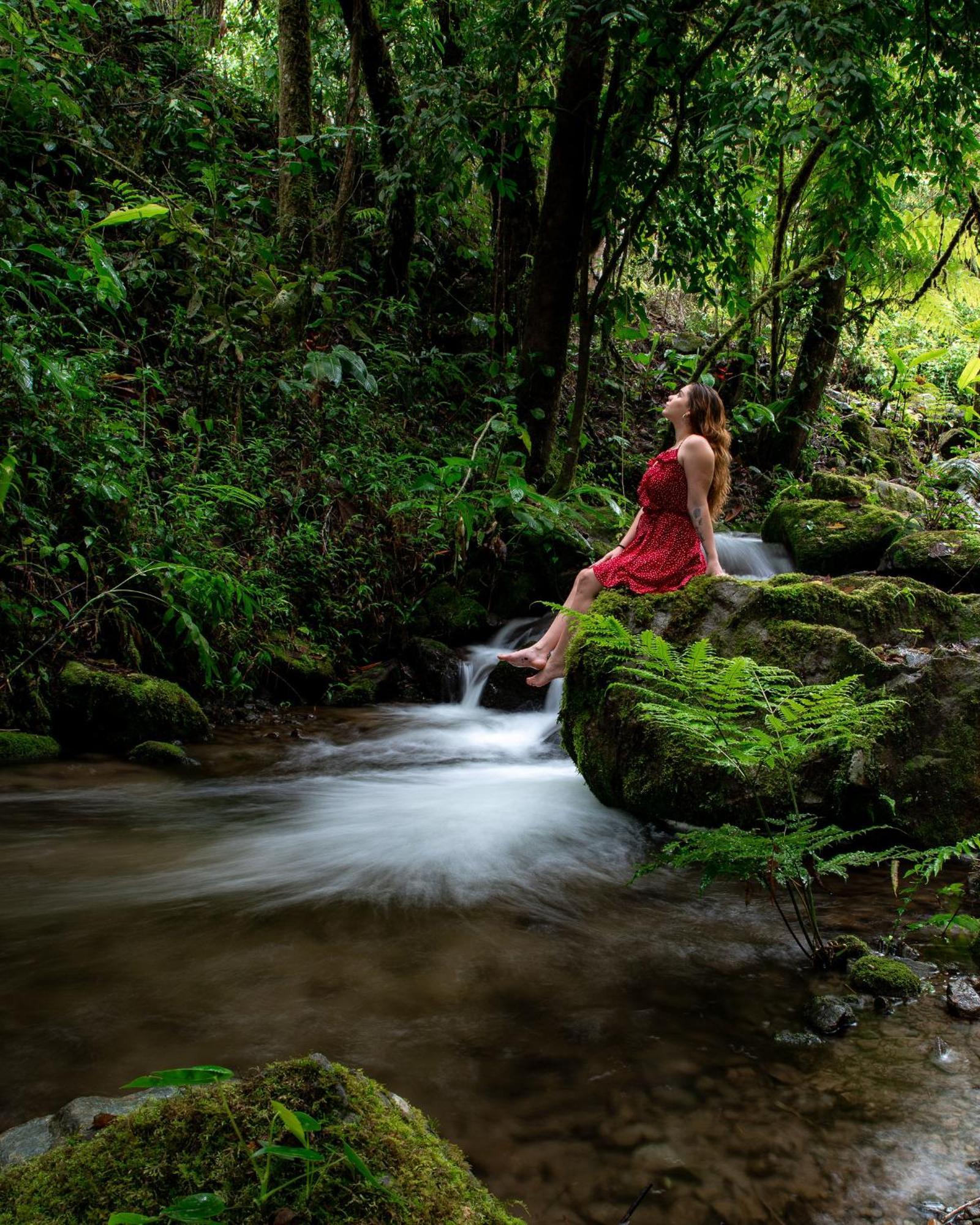 Talamanca Nature Reserve Rivas Dış mekan fotoğraf