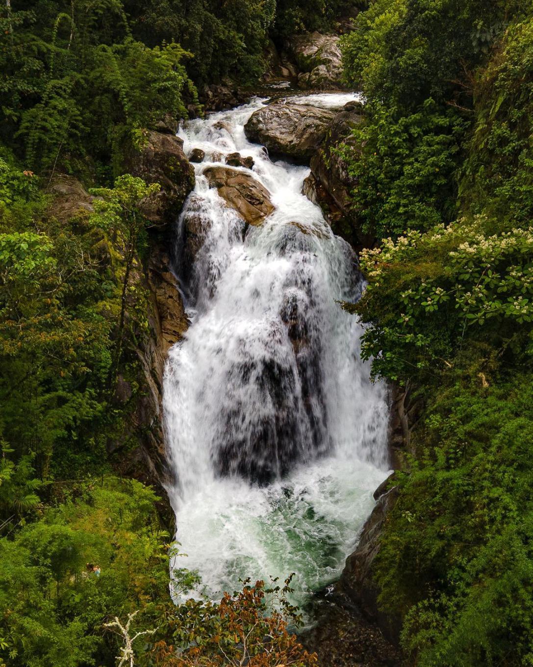 Talamanca Nature Reserve Rivas Dış mekan fotoğraf