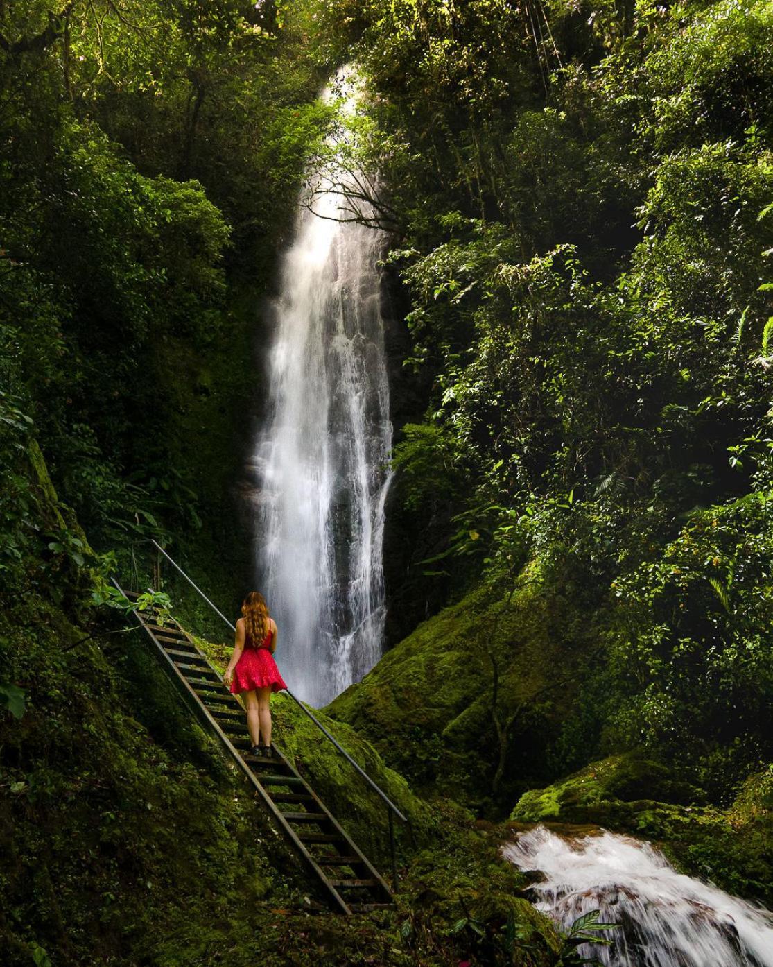 Talamanca Nature Reserve Rivas Dış mekan fotoğraf