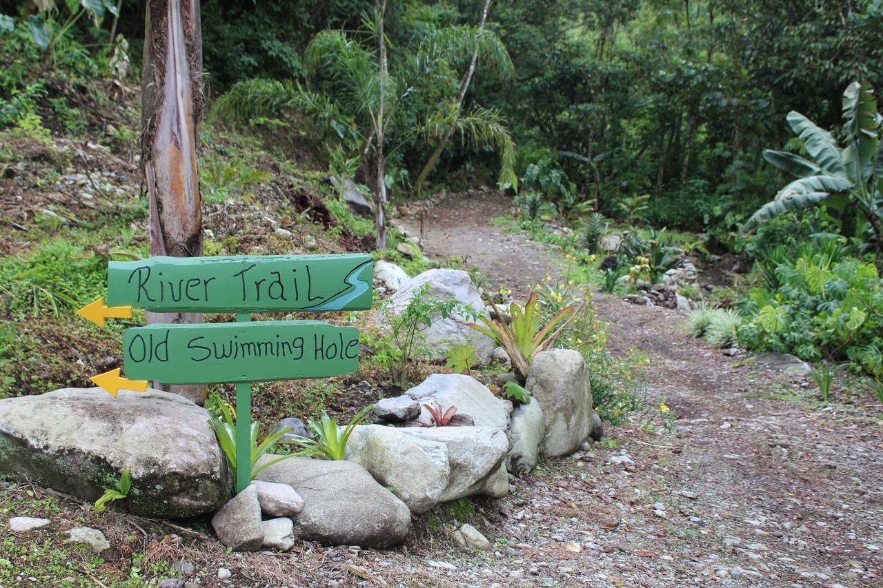 Talamanca Nature Reserve Rivas Dış mekan fotoğraf